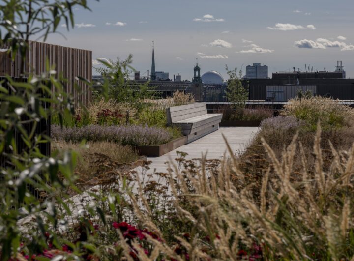 Utsikt över takterrass på Sergelhuset med mycket växtlighet.