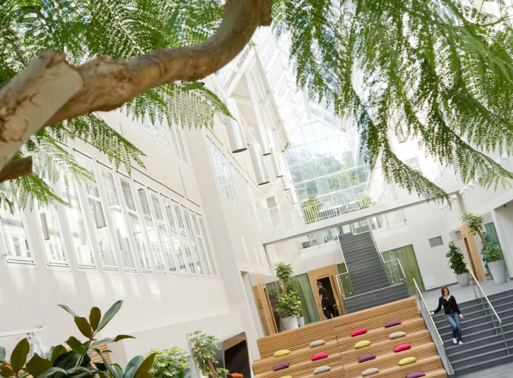 Ljusgård med växter och sittplatser i trappa i Alviks strand.