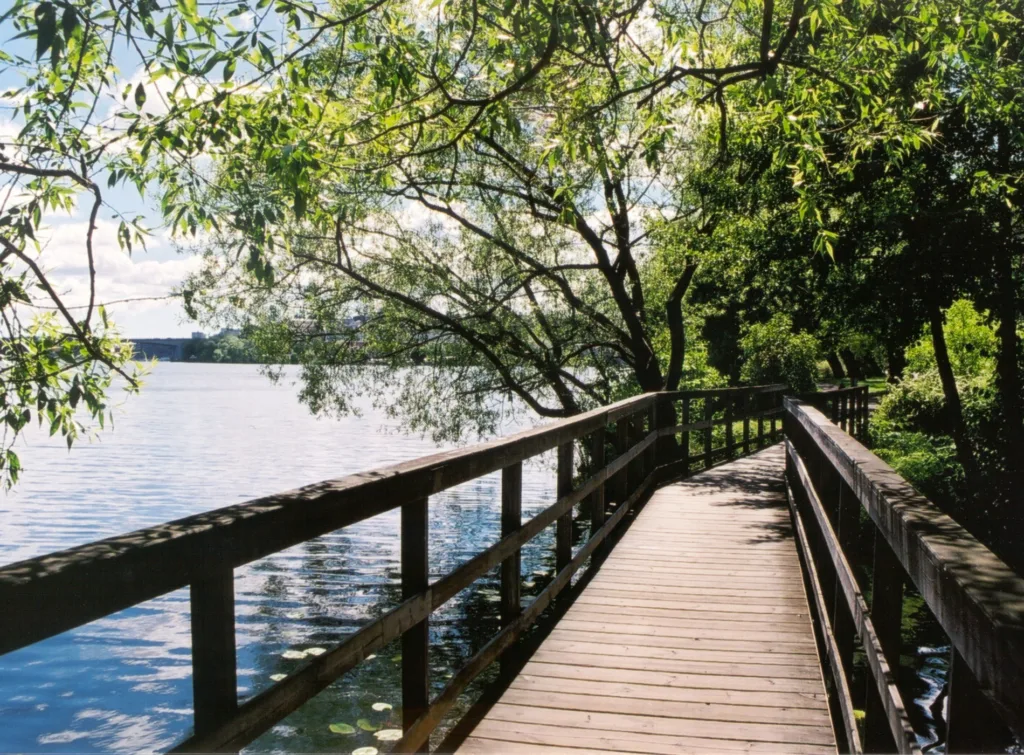 Gångbro längs vattnet i Alviks strand.