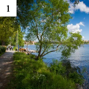 Utsikt över vattnet från Alviks strand