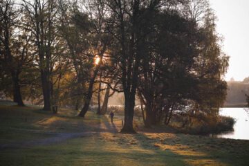 Bild1