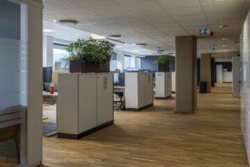 Bild1