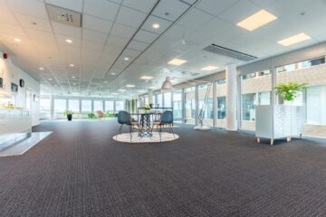 Bild1