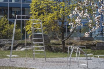 Bild1